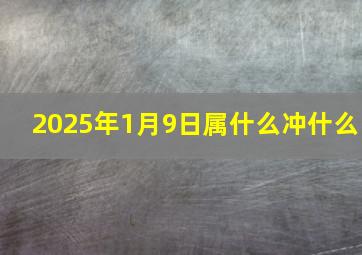 2025年1月9日属什么冲什么