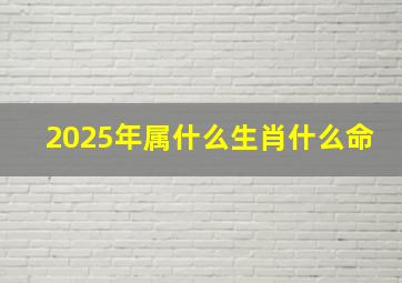 2025年属什么生肖什么命