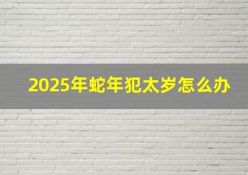 2025年蛇年犯太岁怎么办