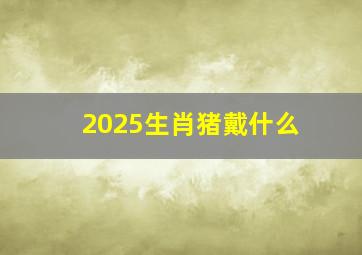 2025生肖猪戴什么