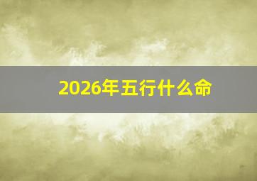 2026年五行什么命