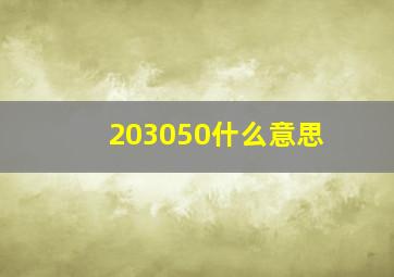 203050什么意思