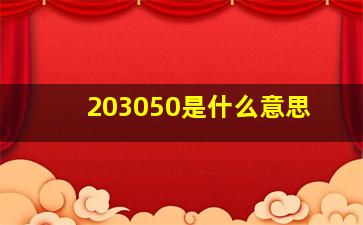 203050是什么意思