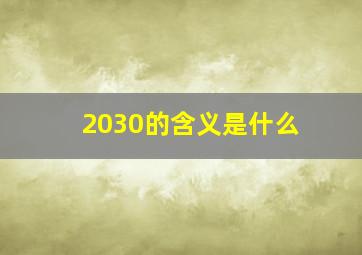 2030的含义是什么