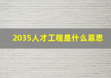 2035人才工程是什么意思