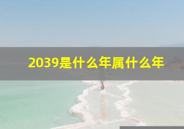 2039是什么年属什么年