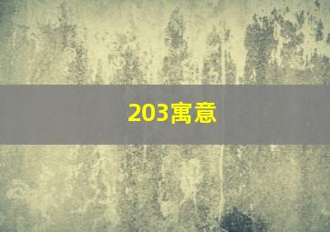 203寓意