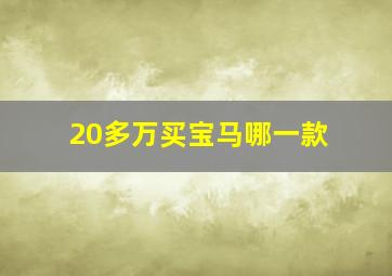 20多万买宝马哪一款