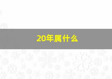 20年属什么