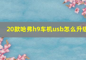 20款哈弗h9车机usb怎么升级