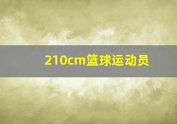 210cm篮球运动员