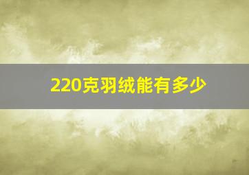 220克羽绒能有多少