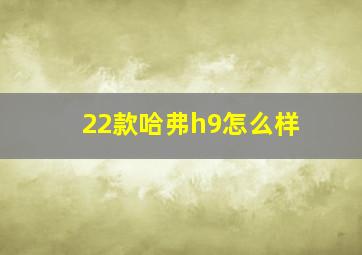 22款哈弗h9怎么样