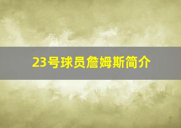 23号球员詹姆斯简介