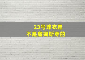 23号球衣是不是詹姆斯穿的