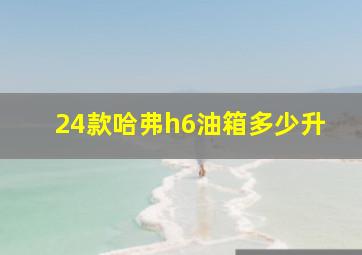 24款哈弗h6油箱多少升