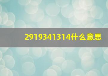 2919341314什么意思