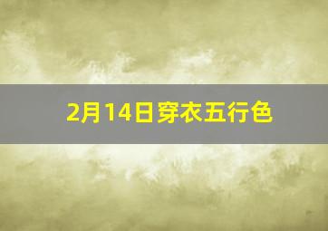 2月14日穿衣五行色