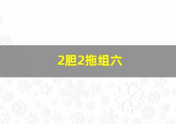 2胆2拖组六