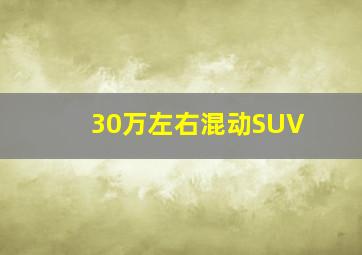 30万左右混动SUV