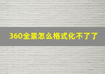 360全景怎么格式化不了了