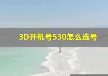 3D开机号530怎么选号