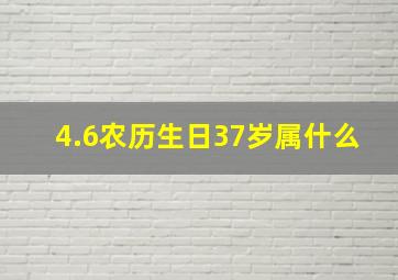 4.6农历生日37岁属什么