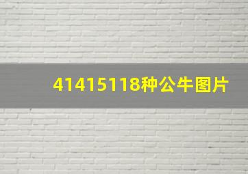 41415118种公牛图片