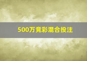 500万竞彩混合投注