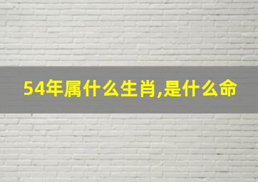 54年属什么生肖,是什么命