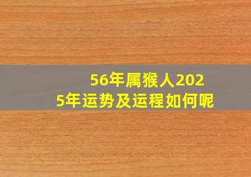 56年属猴人2025年运势及运程如何呢