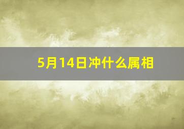 5月14日冲什么属相