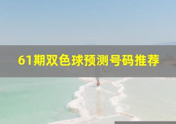 61期双色球预测号码推荐