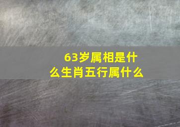 63岁属相是什么生肖五行属什么