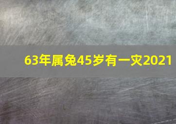 63年属兔45岁有一灾2021