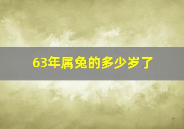 63年属兔的多少岁了