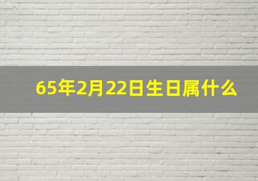 65年2月22日生日属什么