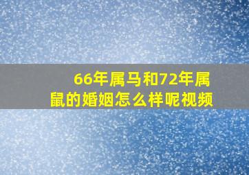 66年属马和72年属鼠的婚姻怎么样呢视频