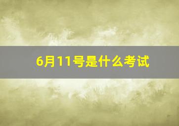 6月11号是什么考试