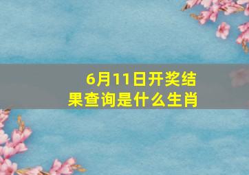 6月11日开奖结果查询是什么生肖