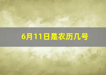 6月11日是农历几号