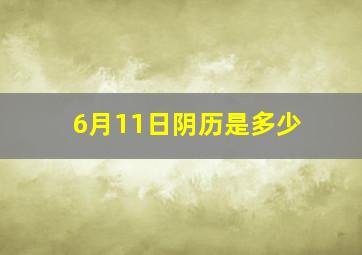 6月11日阴历是多少