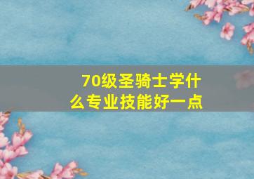 70级圣骑士学什么专业技能好一点