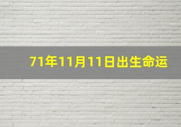 71年11月11日出生命运