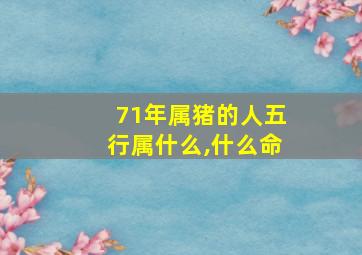 71年属猪的人五行属什么,什么命