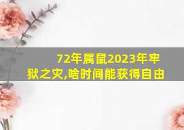 72年属鼠2023年牢狱之灾,啥时间能获得自由