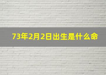 73年2月2日出生是什么命