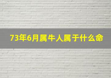 73年6月属牛人属于什么命