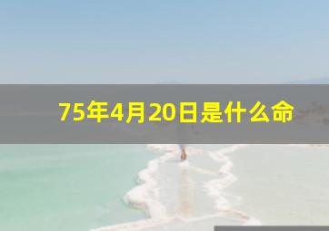 75年4月20日是什么命