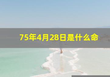 75年4月28日是什么命